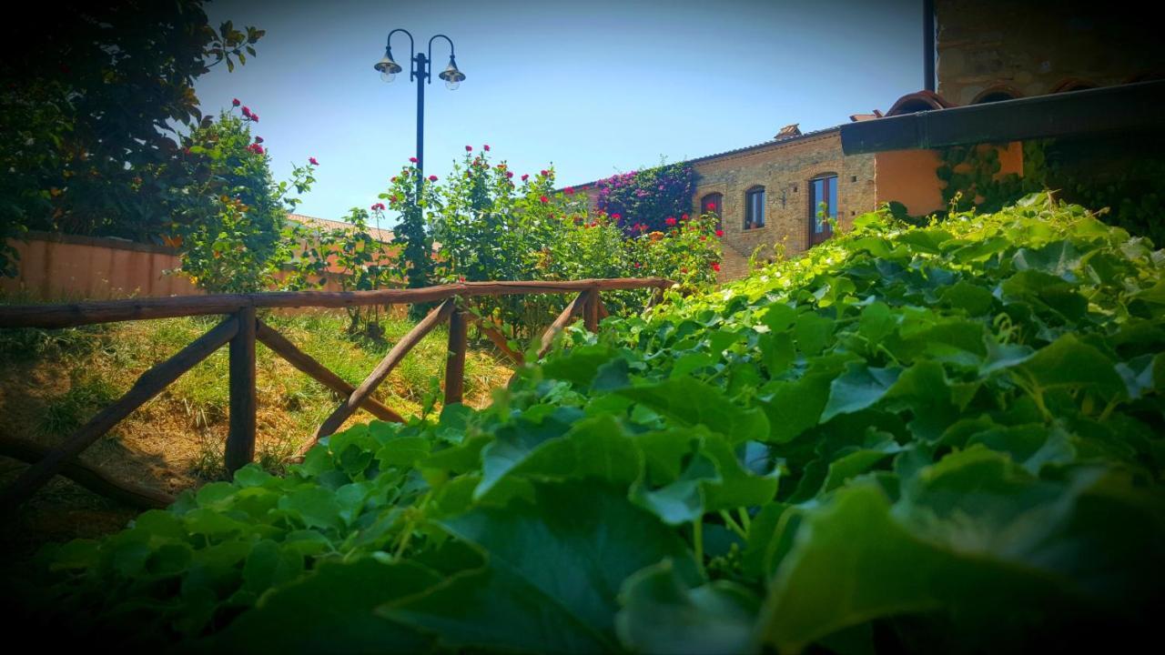 La Masseria Lolivia Senise ภายนอก รูปภาพ